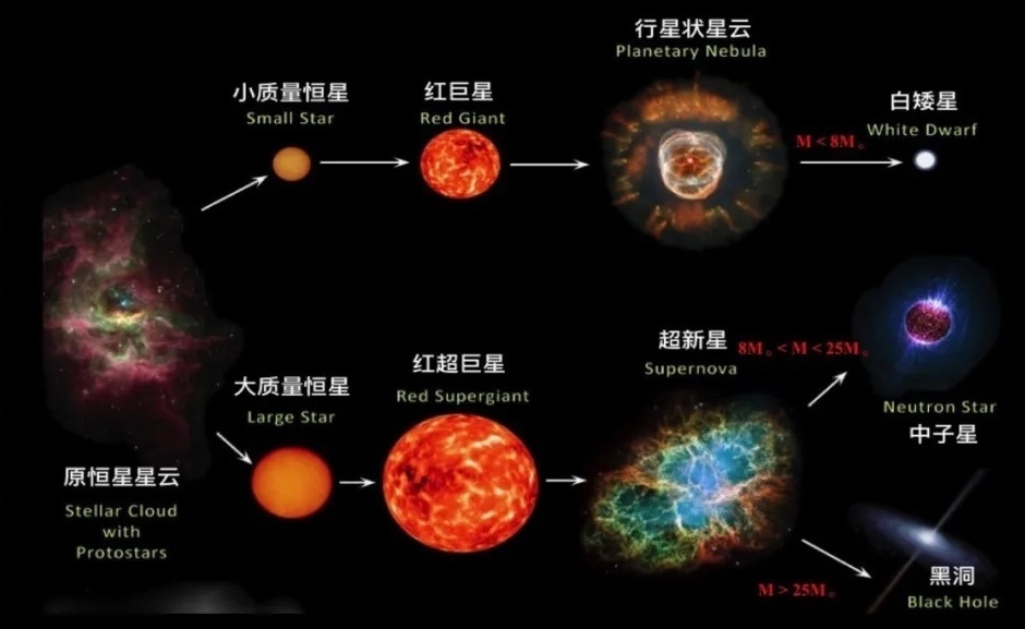 恒星的演化规律
