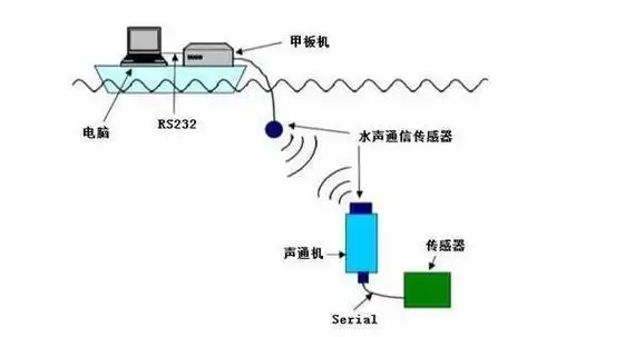 “奋斗者”号发现海底生命绿洲
