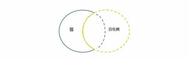 思考讲效率——9特称命题