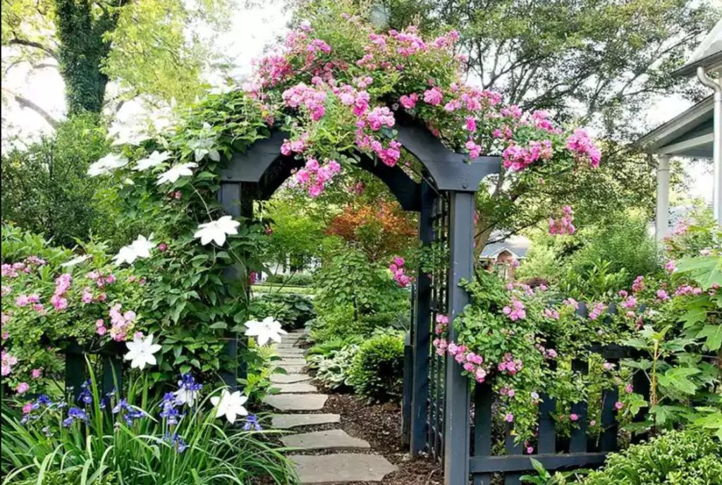 十步打造彰显丰盛内心的后院