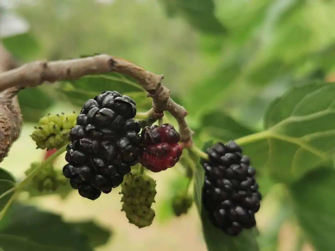 感受自然的恩赐