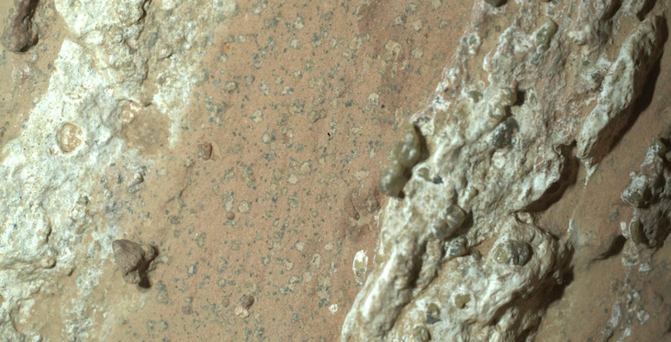 NASA表示，岩石发现包含了火星上“迄今为止最清晰的古代生命迹象”