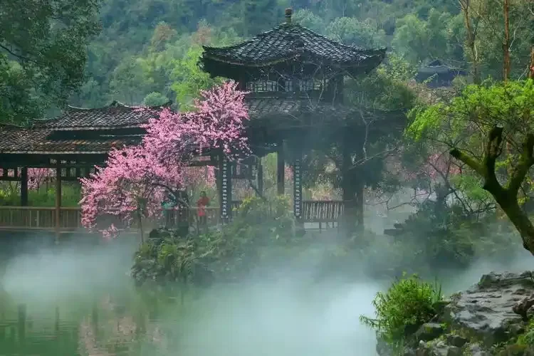 中华诗词美育大赛