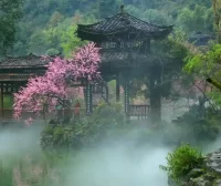 中华诗词美育大赛
