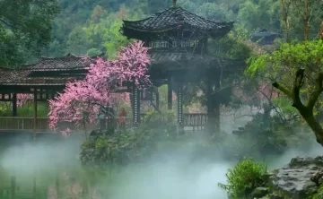 “中华诗词美育大赛”赛事赛规