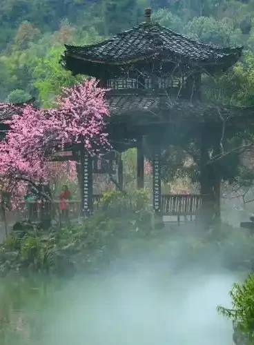 中华诗词美育大赛