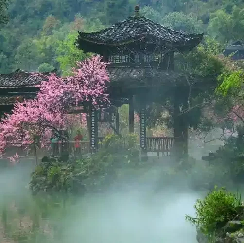 中华诗词美育大赛