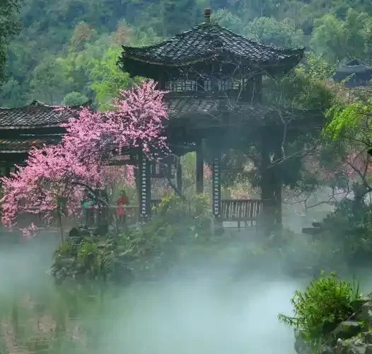 中华诗词美育大赛