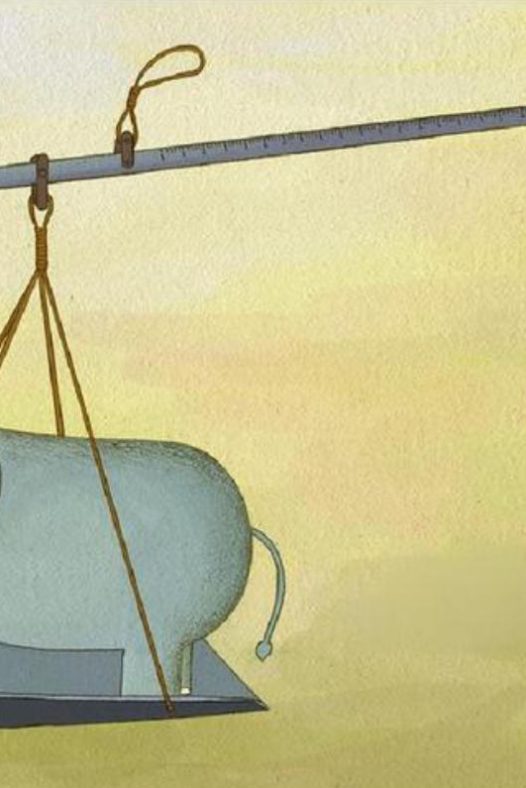 中国智慧——曹冲称象