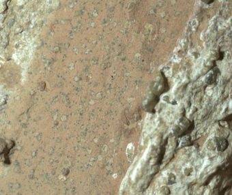 NASA表示，岩石发现包含了火星上“迄今为止最清晰的古代生命迹象”