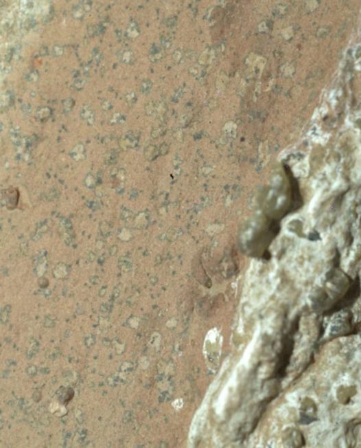 NASA表示，岩石发现包含了火星上“迄今为止最清晰的古代生命迹象”