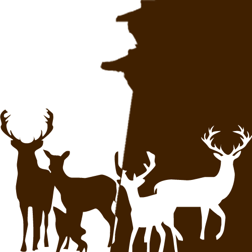 一门语言所必须的常用词