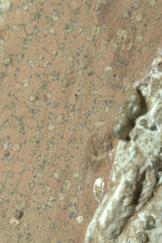 NASA表示,岩石发现包含了火星上“迄今为止最清晰的古代生命迹象”