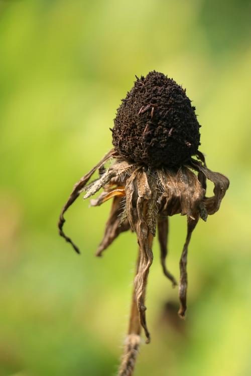 认识人体的死亡