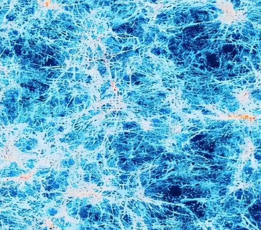 阅读活动中的用户注意力管理