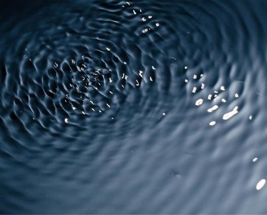 人的情绪是如何产生的？