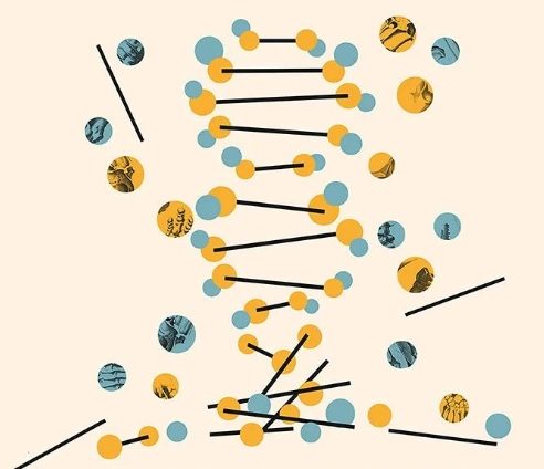 人体细胞的攻防战