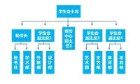 组织结构形式的确定