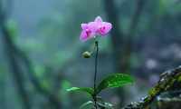 全学科融合的美育，来了