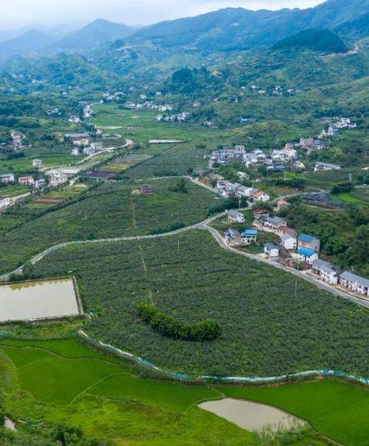 我们从哪里来？