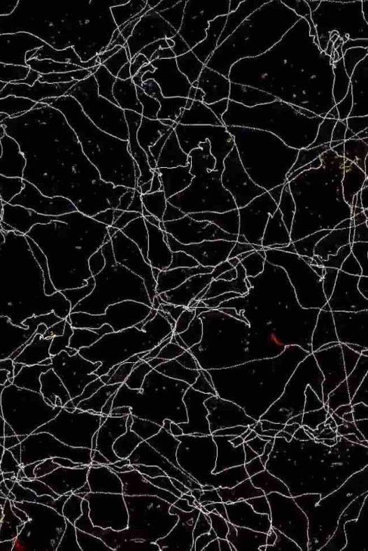 音乐就是世界——宇宙弦猜想
