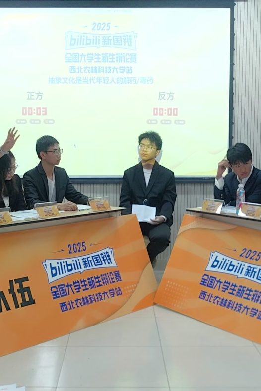 一般性辩论规则
